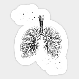 Anatomical Lungs Sticker